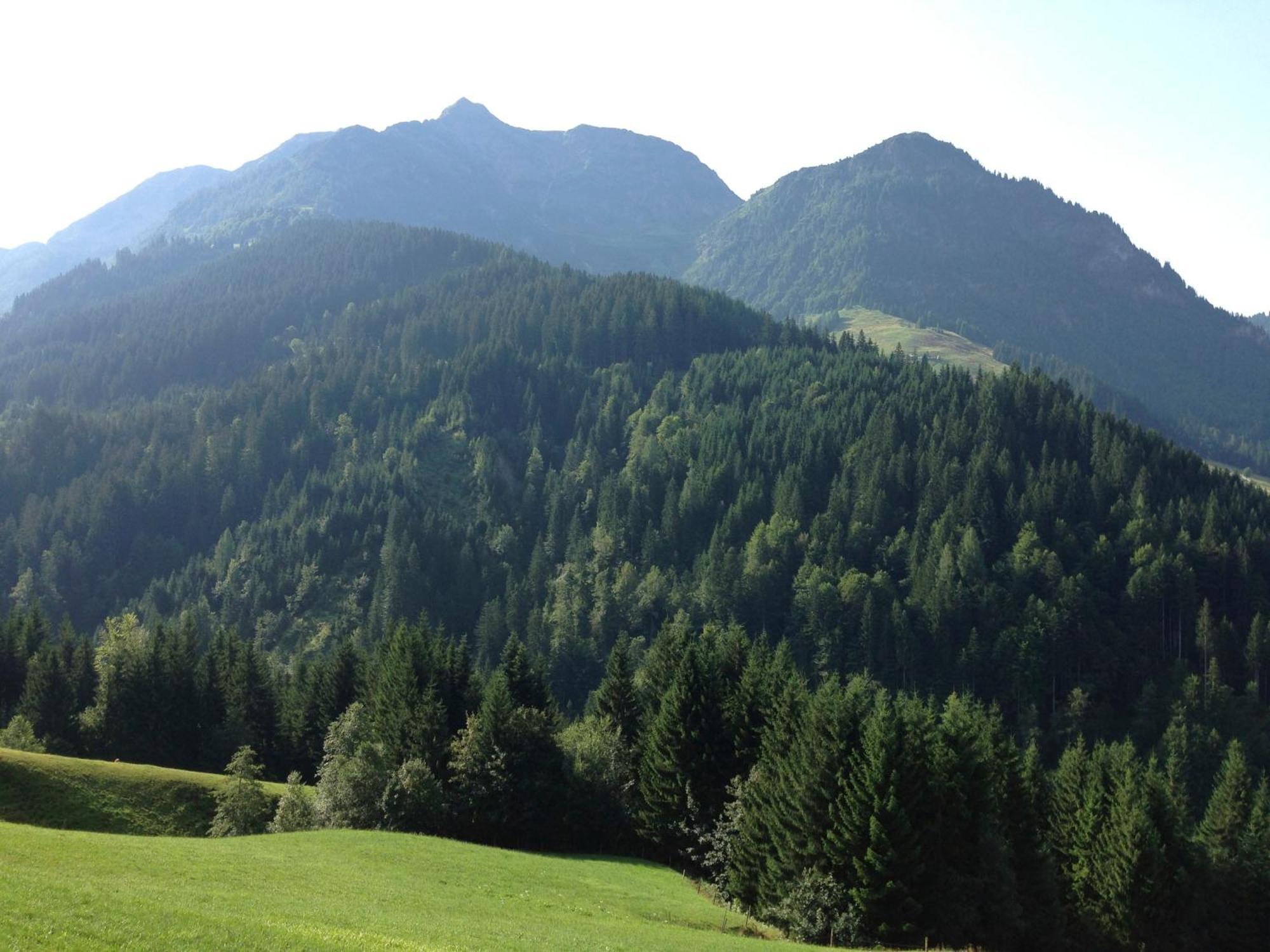 Hinterreith-Hof Apartment Hochfilzen Bagian luar foto